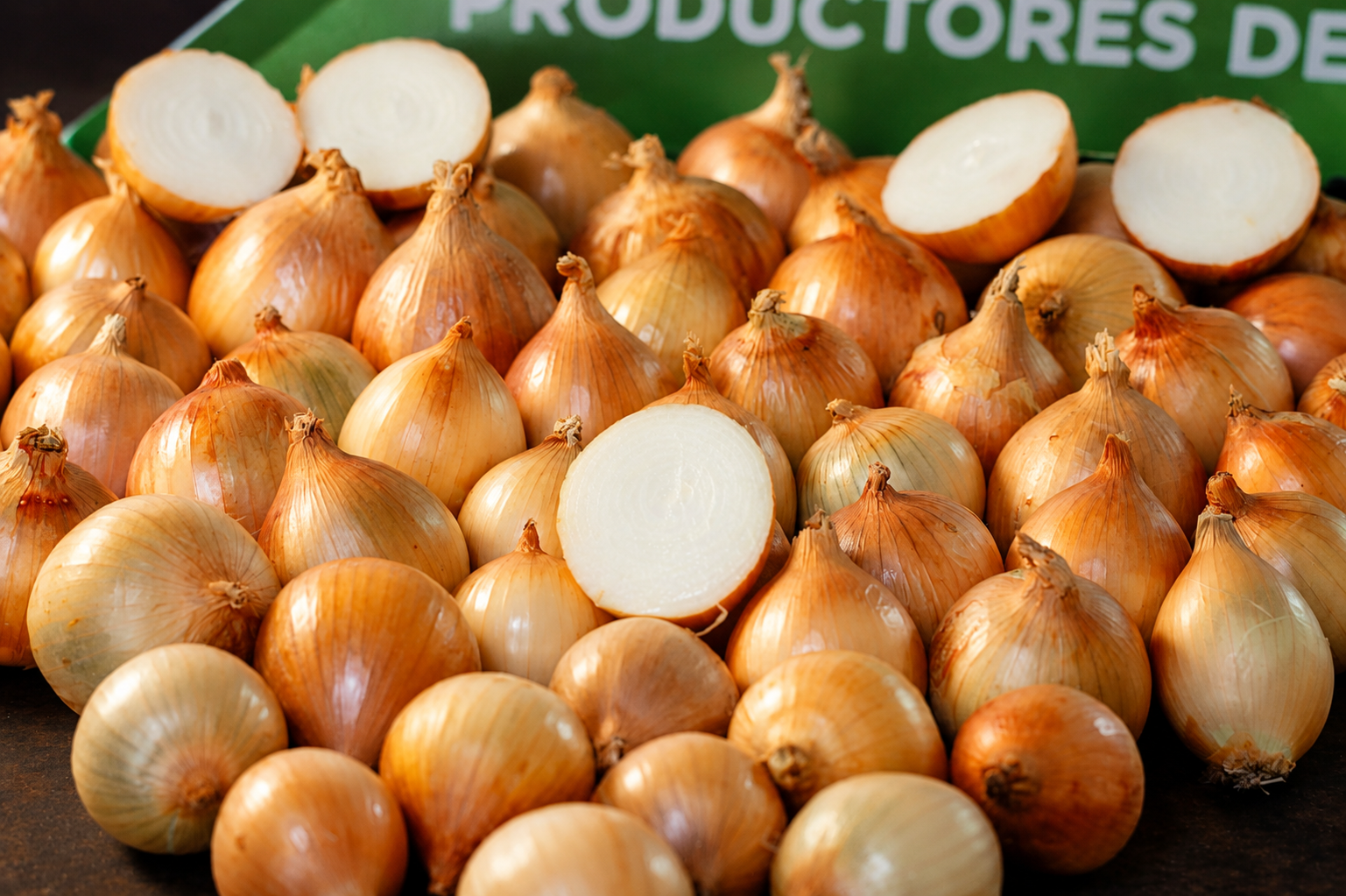 Yellow Onions | Fresh Crop