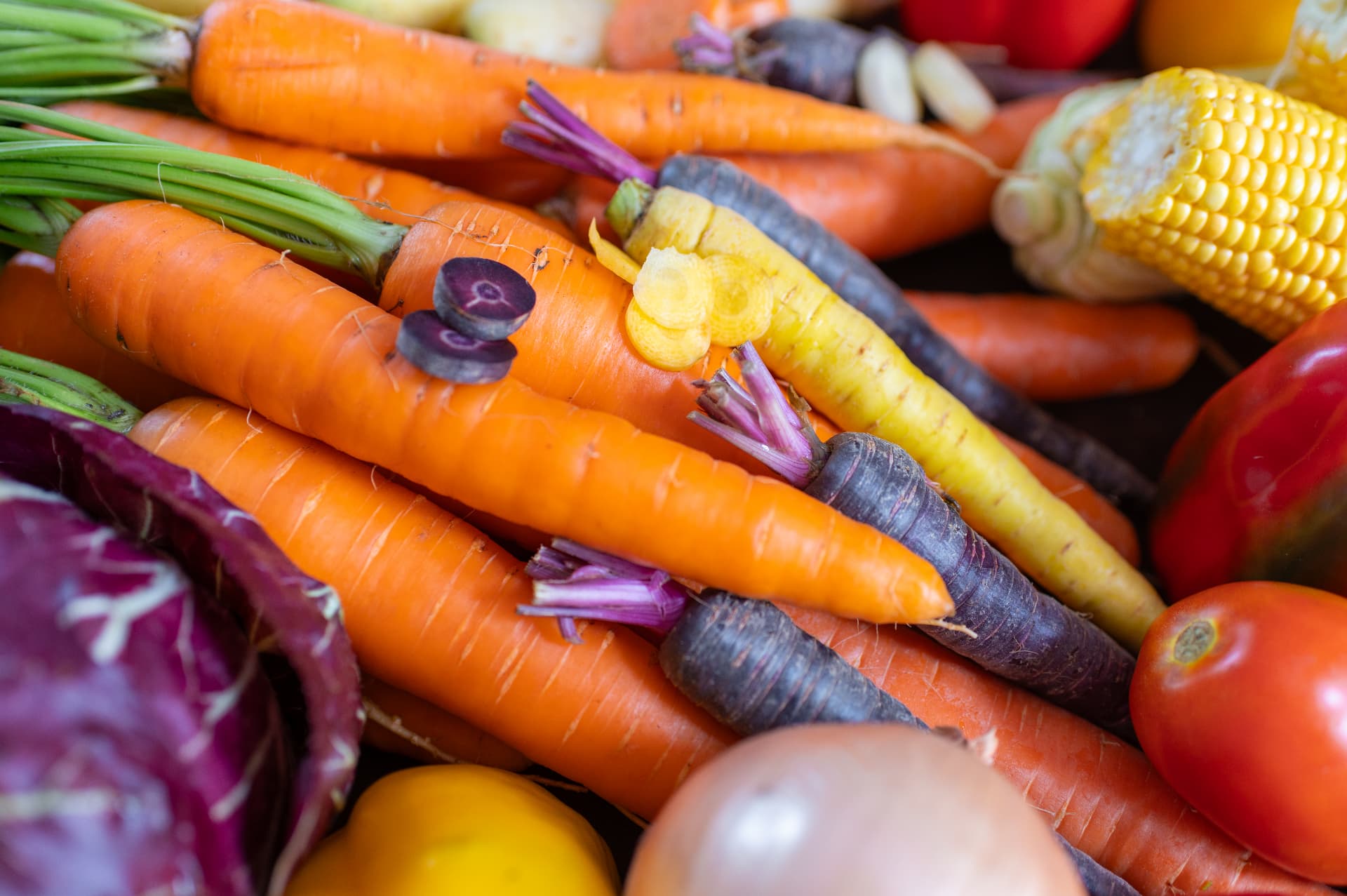 Freshly harvested carrots, corn, tomatoes and cabbage from Fresh Crop