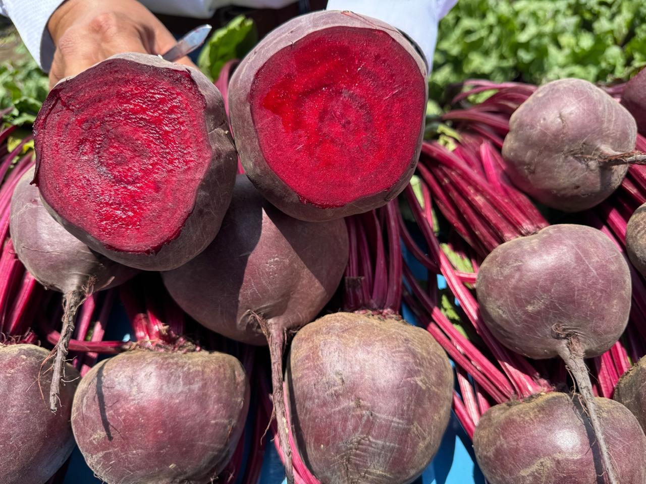 Beets | Fresh Crop