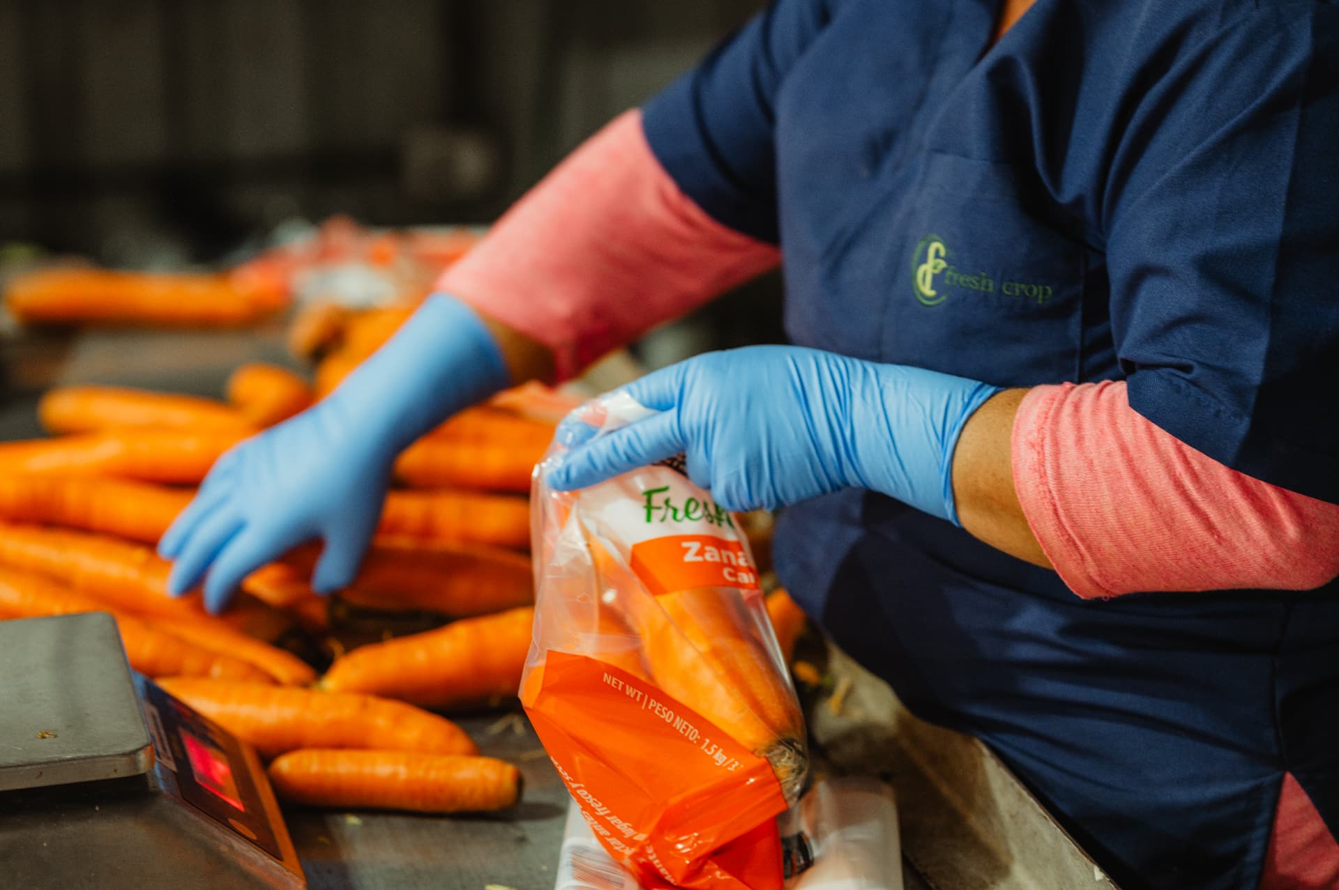 Fresh Crop worker packing carrots into branded retail bags