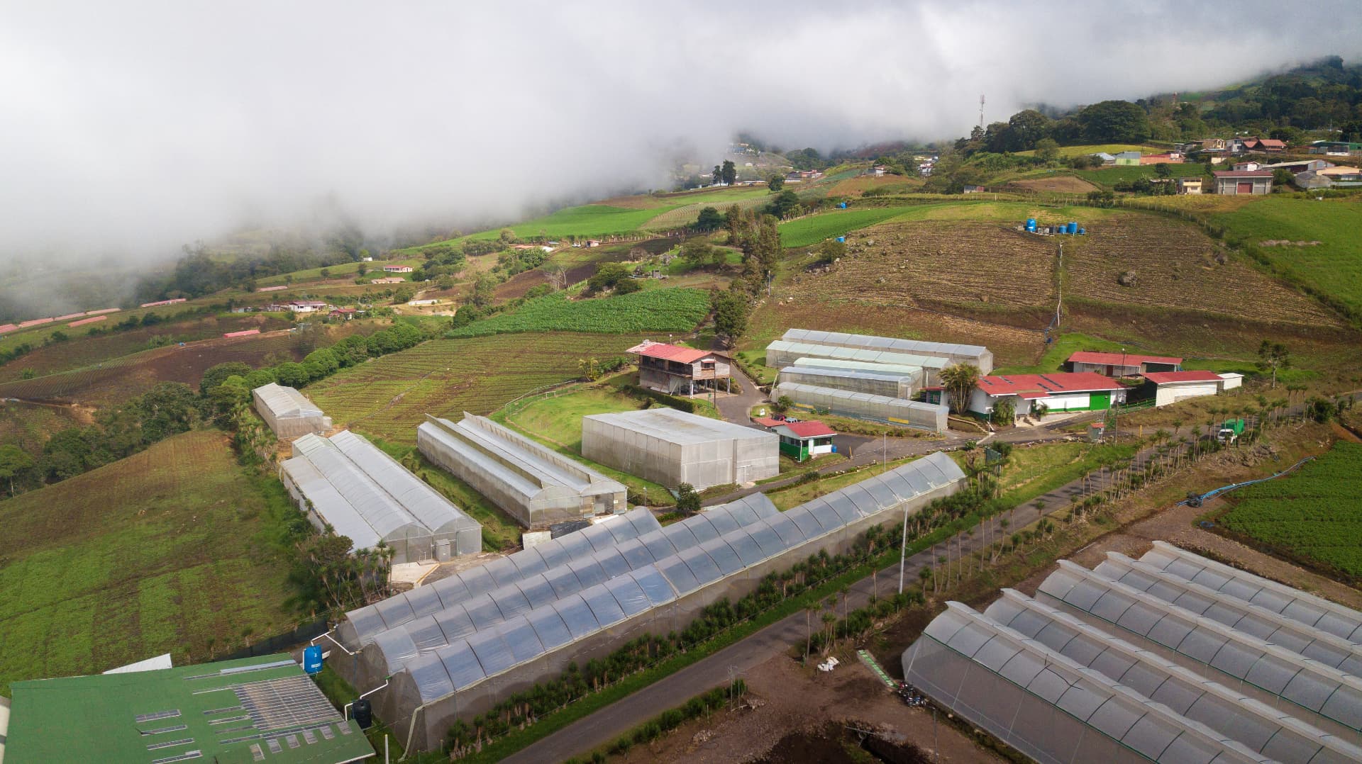 Aerial view of Fresh Crop greenhouses and fields in the Cartago highlands